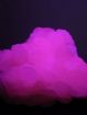 Vivace fluorescenza rosa violetto » Zoom